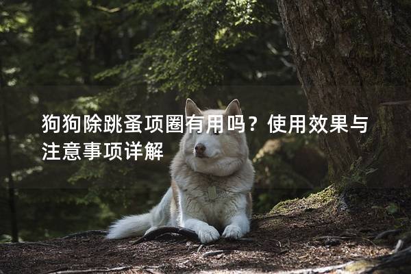 狗狗除跳蚤项圈有用吗？使用效果与注意事项详解