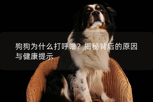 狗狗为什么打呼噜？揭秘背后的原因与健康提示