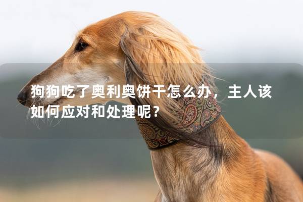 狗狗吃了奥利奥饼干怎么办，主人该如何应对和处理呢？