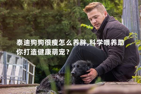 泰迪狗狗很瘦怎么养胖,科学喂养助你打造健康萌宠？