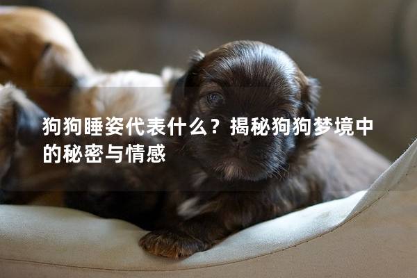 狗狗睡姿代表什么？揭秘狗狗梦境中的秘密与情感