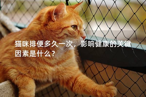 猫咪排便多久一次，影响健康的关键因素是什么？