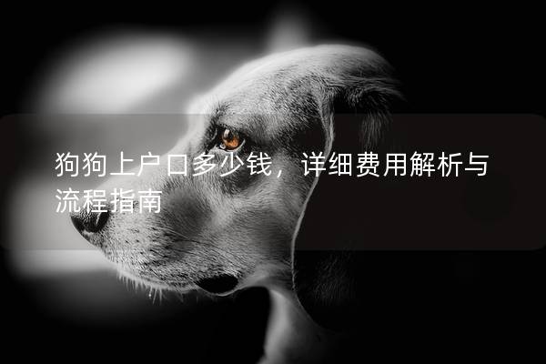 狗狗上户口多少钱，详细费用解析与流程指南