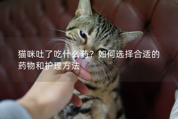 猫咪吐了吃什么药？如何选择合适的药物和护理方法