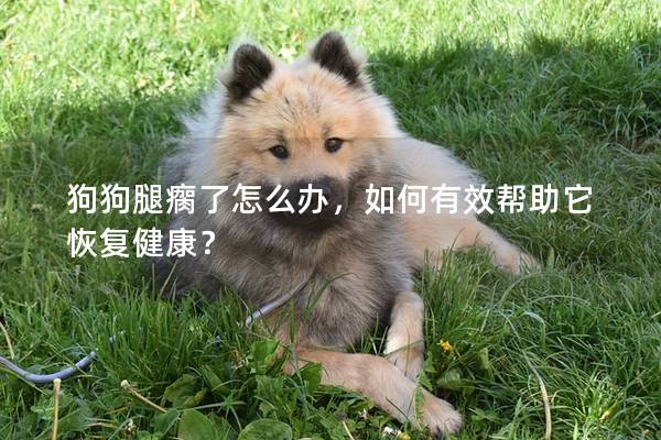 狗狗腿瘸了怎么办，如何有效帮助它恢复健康？