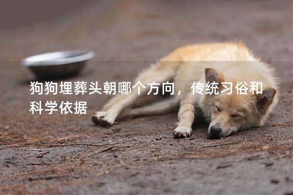 狗狗埋葬头朝哪个方向，传统习俗和科学依据