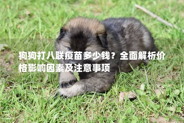 狗狗打八联疫苗多少钱？全面解析价格影响因素及注意事项