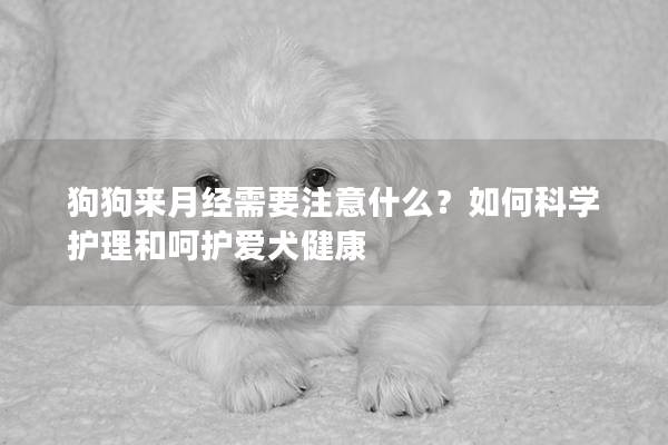狗狗来月经需要注意什么？如何科学护理和呵护爱犬健康