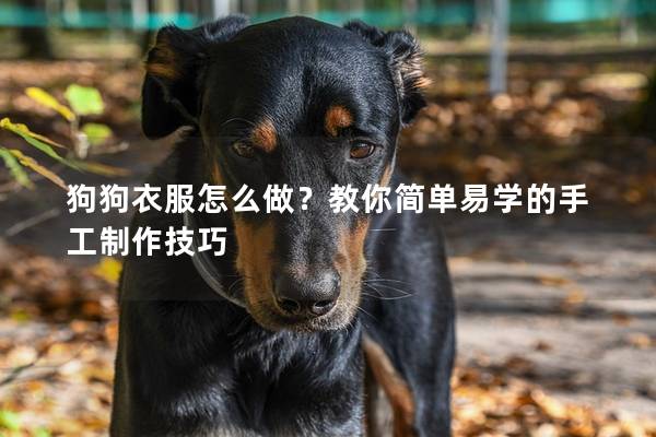 狗狗衣服怎么做？教你简单易学的手工制作技巧