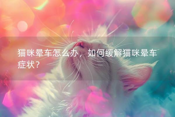 猫咪晕车怎么办，如何缓解猫咪晕车症状？