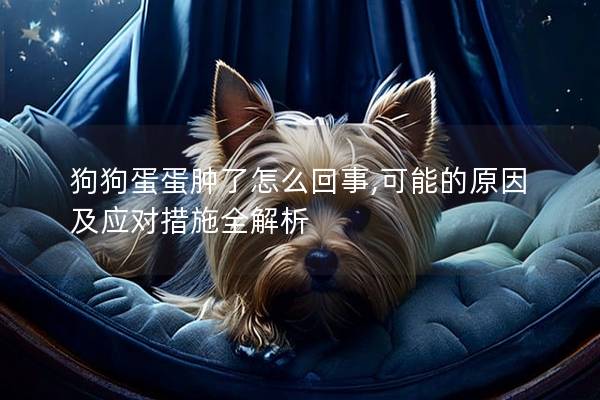 狗狗蛋蛋肿了怎么回事,可能的原因及应对措施全解析