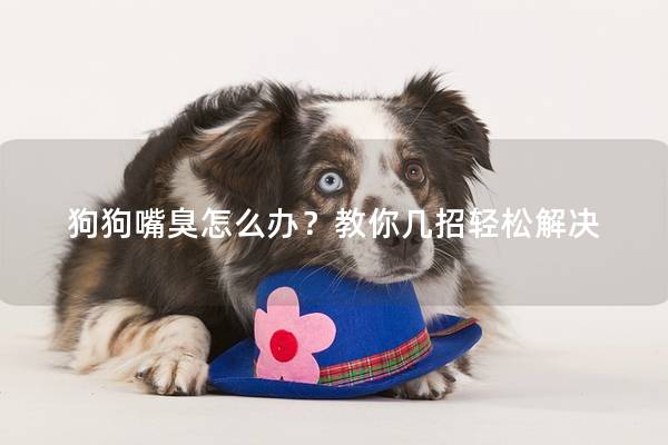 狗狗嘴臭怎么办？教你几招轻松解决