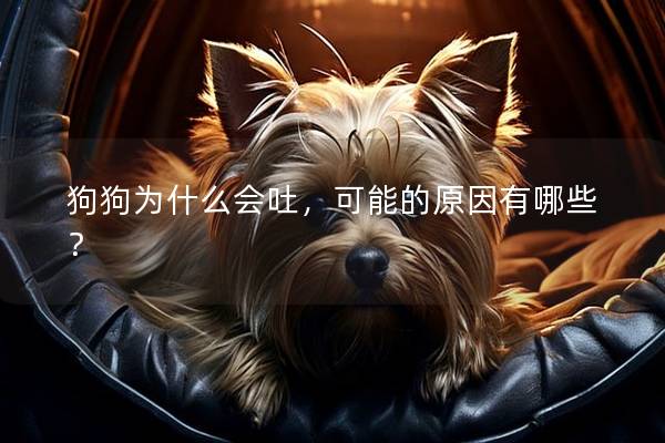 狗狗为什么会吐,可能的原因有哪些? 狗狗为什么会吐,可能的原因有哪些?