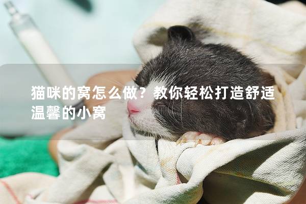 猫咪的窝怎么做？教你轻松打造舒适温馨的小窝