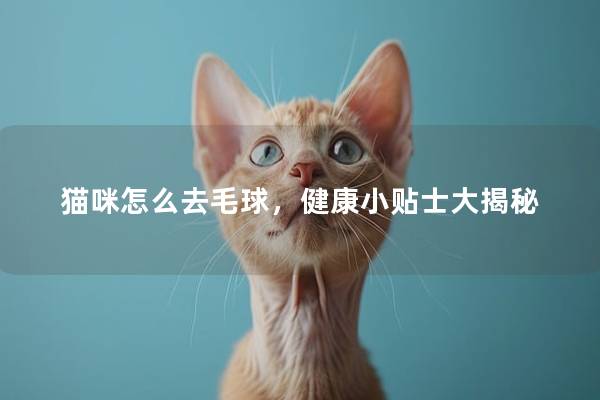 猫咪怎么去毛球，健康小贴士大揭秘