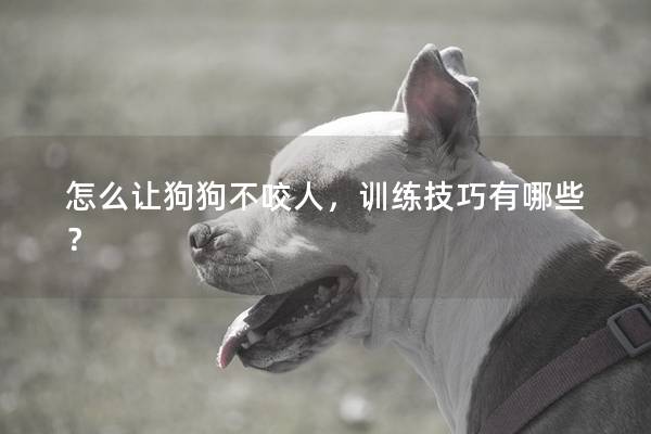 怎么让狗狗不咬人，训练技巧有哪些？
