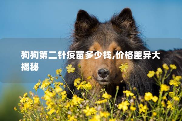 狗狗第二针疫苗多少钱,价格差异大揭秘