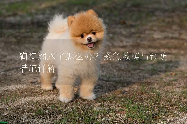 狗狗溺水了怎么办？紧急救援与预防措施详解