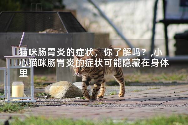 猫咪肠胃炎的症状，你了解吗？,小心猫咪肠胃炎的症状可能隐藏在身体里