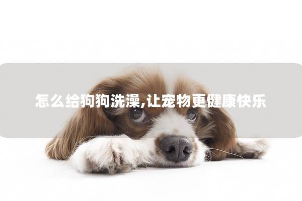 怎么给狗狗洗澡,让宠物更健康快乐