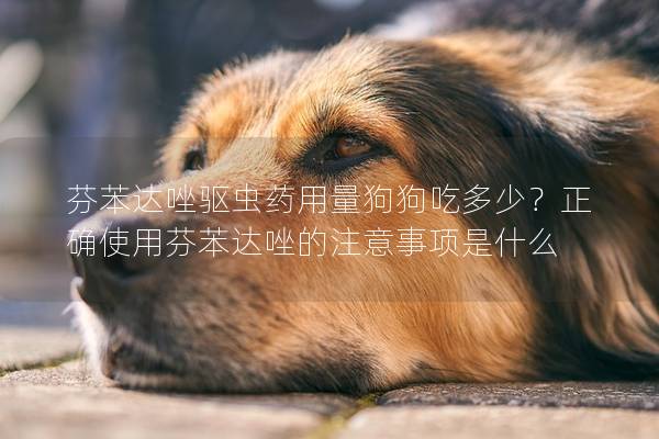 芬苯达唑驱虫药用量狗狗吃多少？正确使用芬苯达唑的注意事项是什么