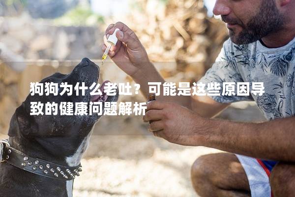 狗狗为什么老吐？可能是这些原因导致的健康问题解析