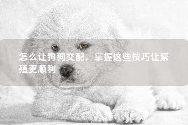 怎么让狗狗交配，掌握这些技巧让繁殖更顺利