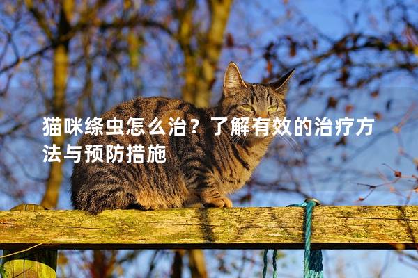 猫咪绦虫怎么治？了解有效的治疗方法与预防措施