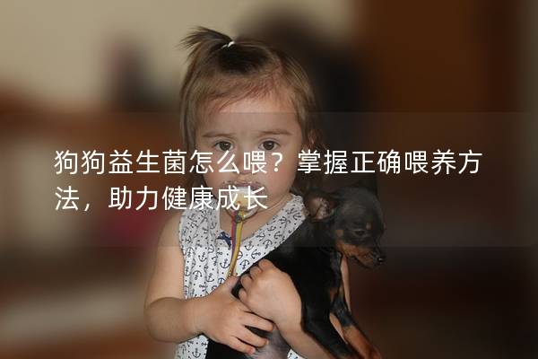 狗狗益生菌怎么喂？掌握正确喂养方法，助力健康成长