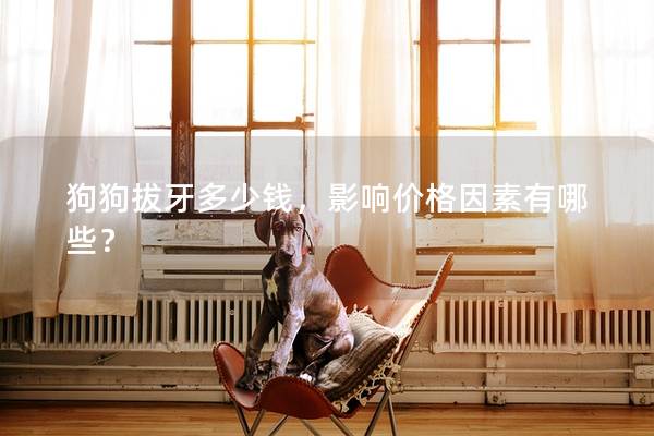 狗狗拔牙多少钱，影响价格因素有哪些？