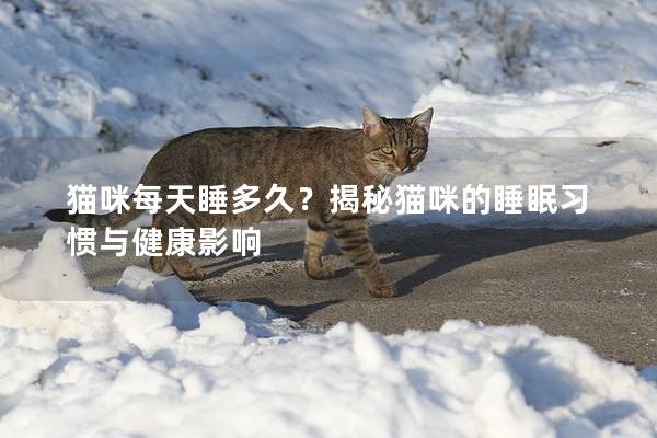 猫咪每天睡多久？揭秘猫咪的睡眠习惯与健康影响