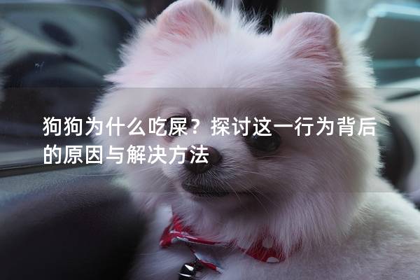 狗狗为什么吃屎？探讨这一行为背后的原因与解决方法