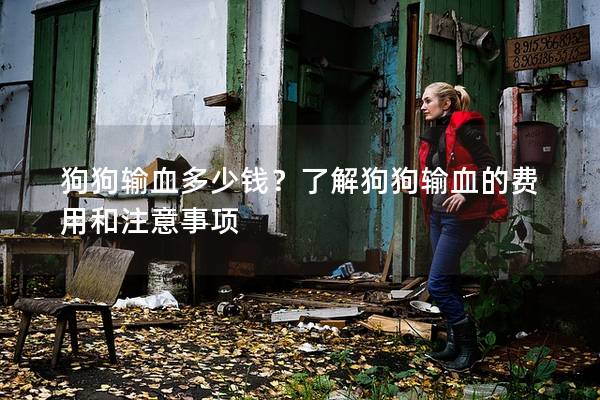 狗狗输血多少钱？了解狗狗输血的费用和注意事项
