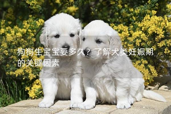 狗狗生宝宝要多久？了解犬类妊娠期的关键因素