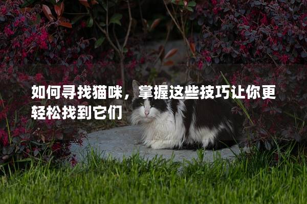 如何寻找猫咪，掌握这些技巧让你更轻松找到它们