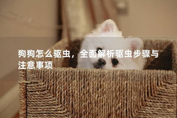 狗狗怎么驱虫，全面解析驱虫步骤与注意事项