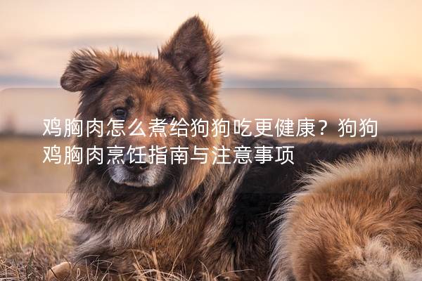 鸡胸肉怎么煮给狗狗吃更健康？狗狗鸡胸肉烹饪指南与注意事项