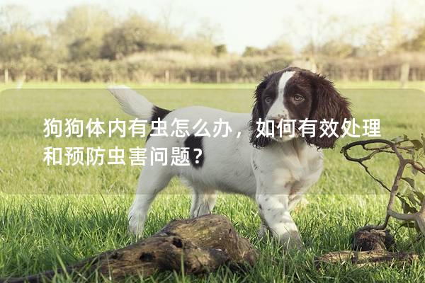 狗狗体内有虫怎么办，如何有效处理和预防虫害问题？