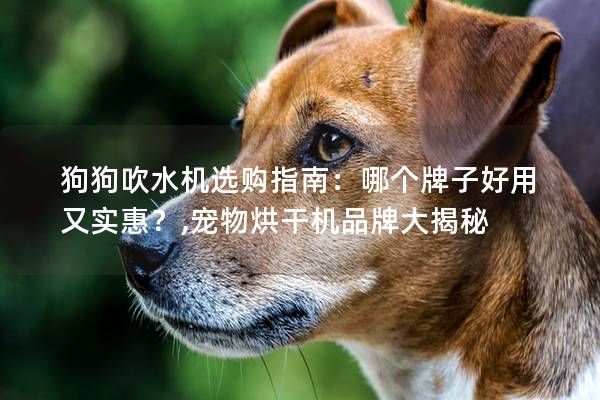 狗狗吹水机选购指南：哪个牌子好用又实惠？,宠物烘干机品牌大揭秘