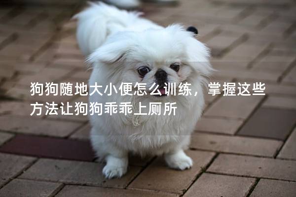 狗狗随地大小便怎么训练，掌握这些方法让狗狗乖乖上厕所
