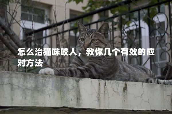 怎么治猫咪咬人，教你几个有效的应对方法