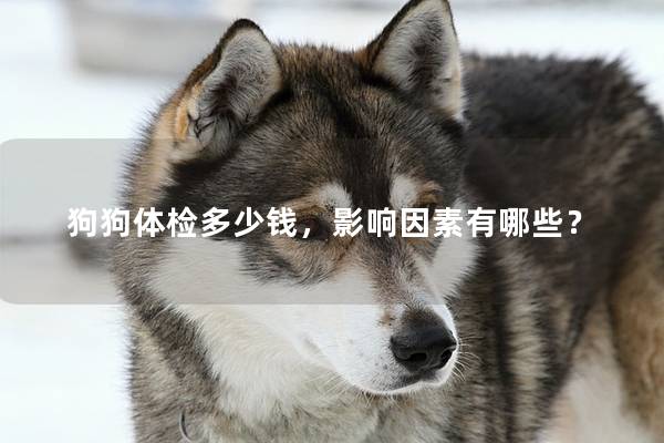 狗狗体检多少钱，影响因素有哪些？