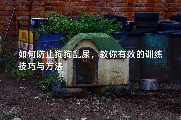 如何防止狗狗乱尿，教你有效的训练技巧与方法