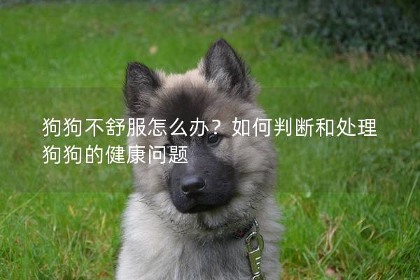 狗狗不舒服怎么办？如何判断和处理狗狗的健康问题