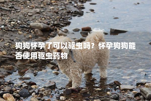 狗狗怀孕了可以驱虫吗？怀孕狗狗能否使用驱虫药物
