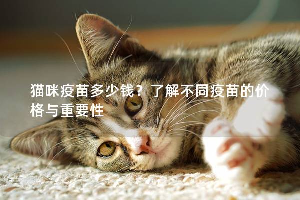 猫咪疫苗多少钱？了解不同疫苗的价格与重要性