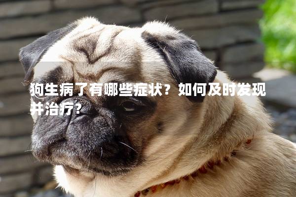 狗生病了有哪些症状？如何及时发现并治疗？