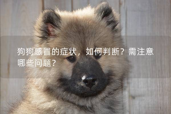 狗狗感冒的症状，如何判断？需注意哪些问题？