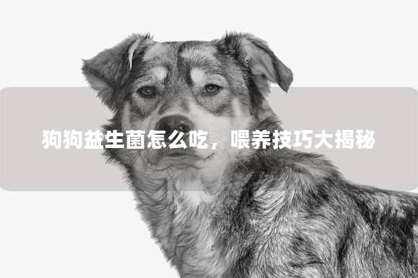 狗狗益生菌怎么吃，喂养技巧大揭秘