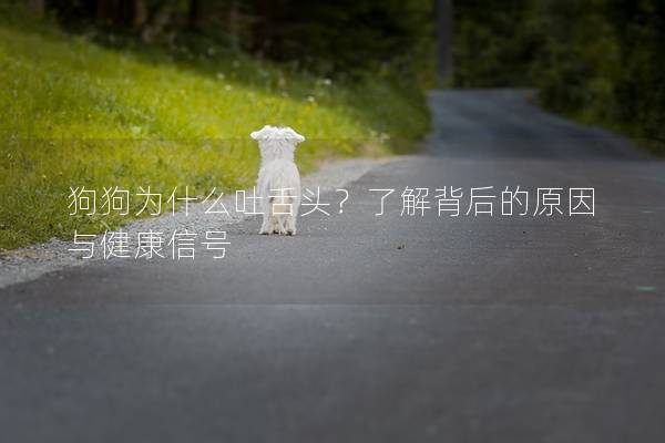 狗狗为什么吐舌头？了解背后的原因与健康信号